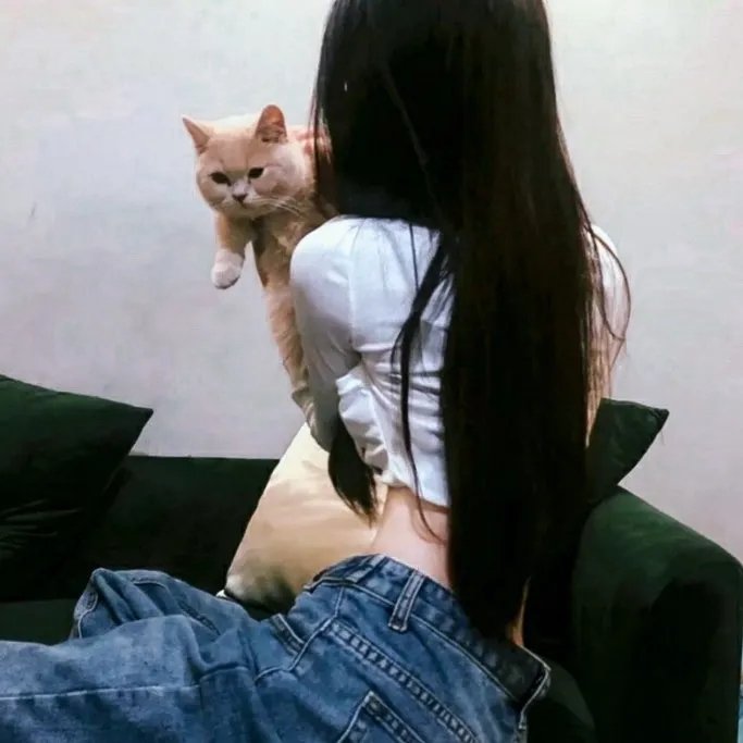 壳中少女 排气