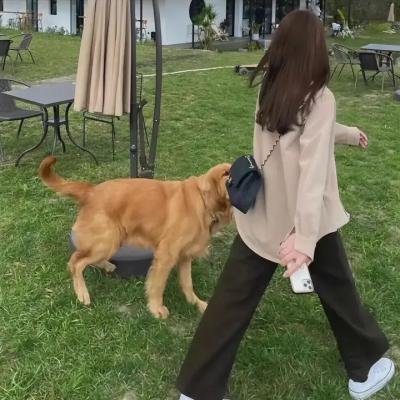 来自中国的熊猫
